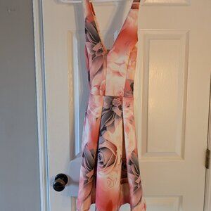 NWOT Charlotte russe skater dress